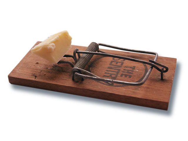 割引などもあるギフト探し