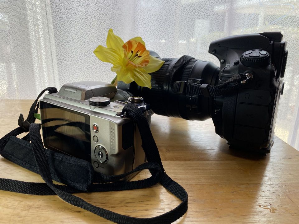 結婚祝いに家電を送るときのポイント