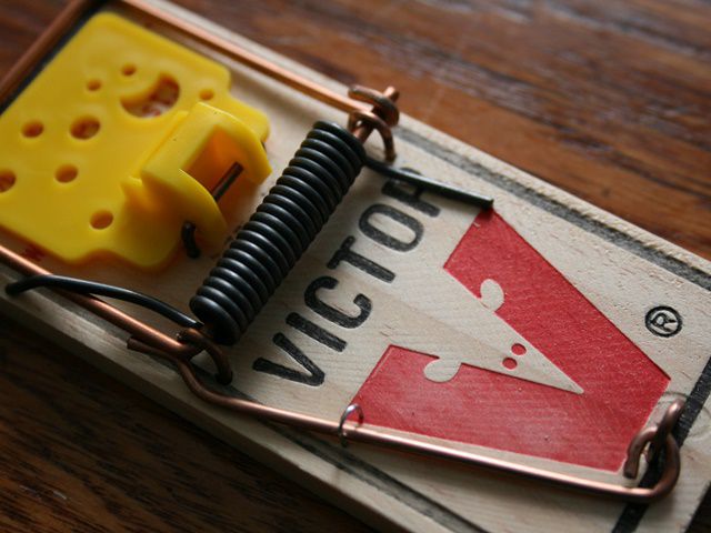 結婚祝いに家電を贈りましょう