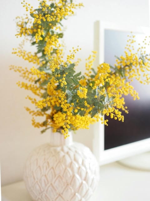 お食事ギフト券をプレゼントしましょう